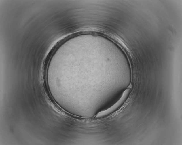 X0000112101116200908251144