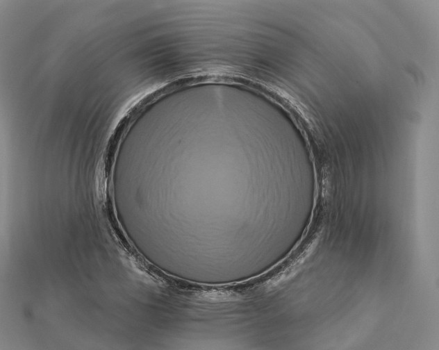 X0000112101117200908251144