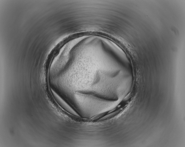 X0000112101118200908251144