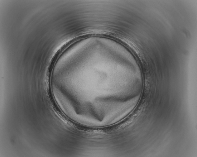 X0000112101119200908251144