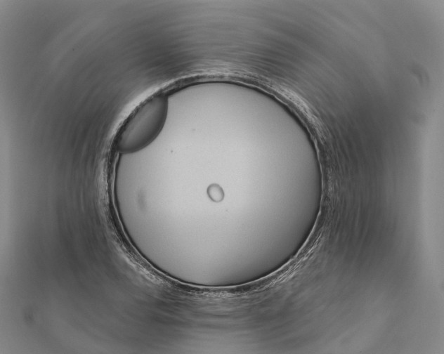 X0000112101120200908251144