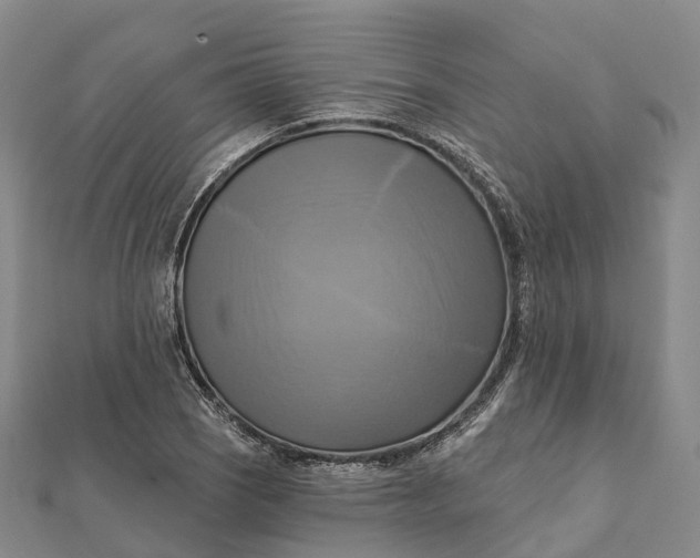 X0000112101121200908251144