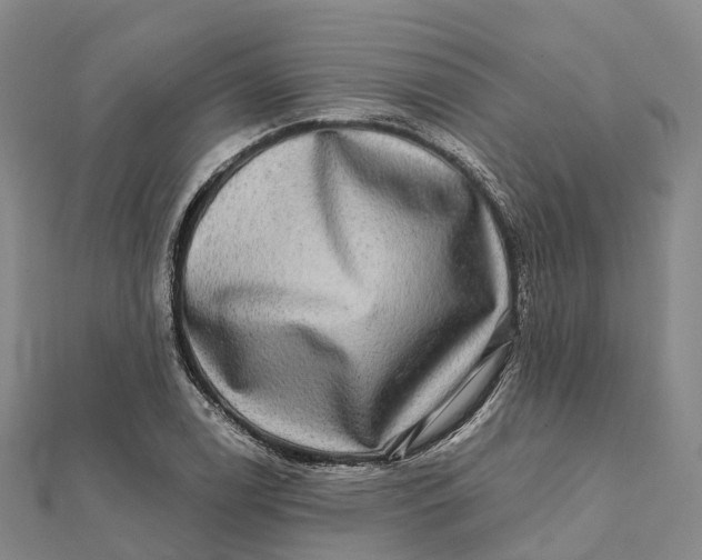 X0000112101122200908251144