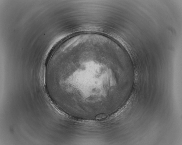 X0000112101123200908251144