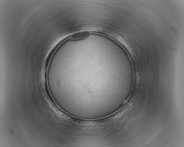 X0000112101124200908251144