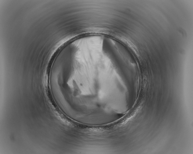 X0000112101125200908251144