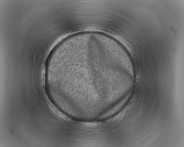 X0000112101126200908251144