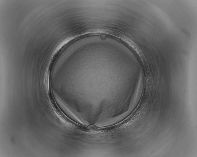 X0000112101127200908251144