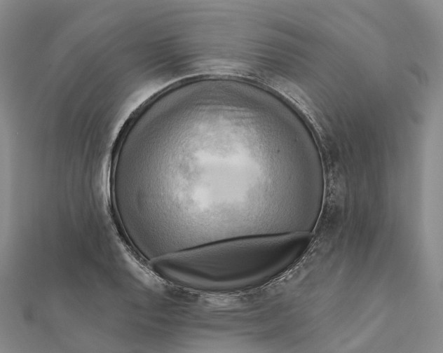 X0000112101128200908251144