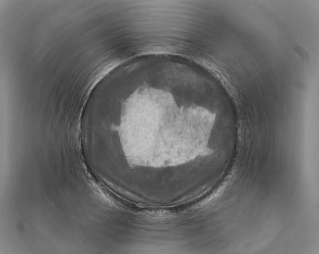 X0000112101129200908251144