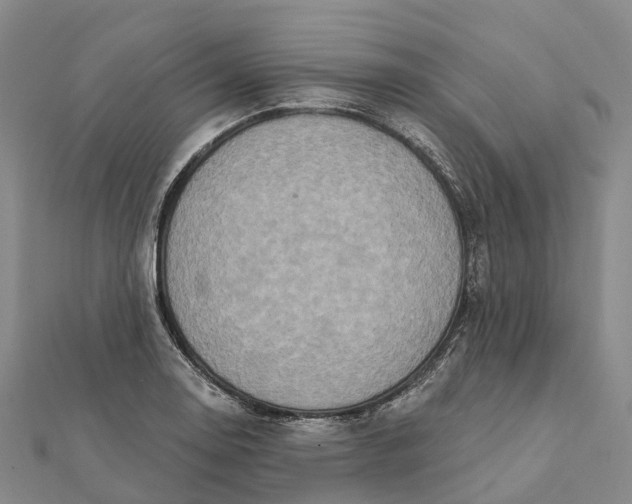 X0000112101130200908251144