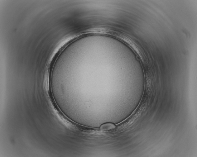 X0000112101131200908251144