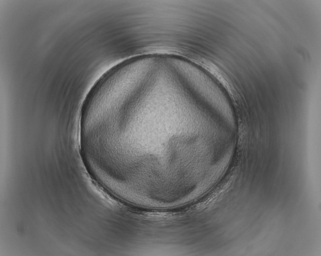 X0000112101132200908251144