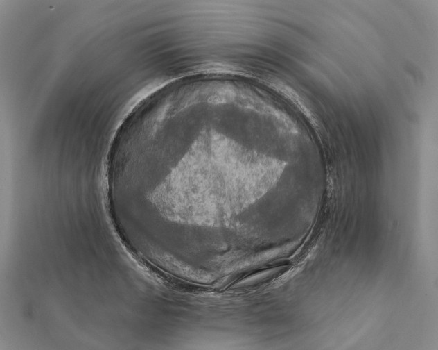 X0000112101133200908251144