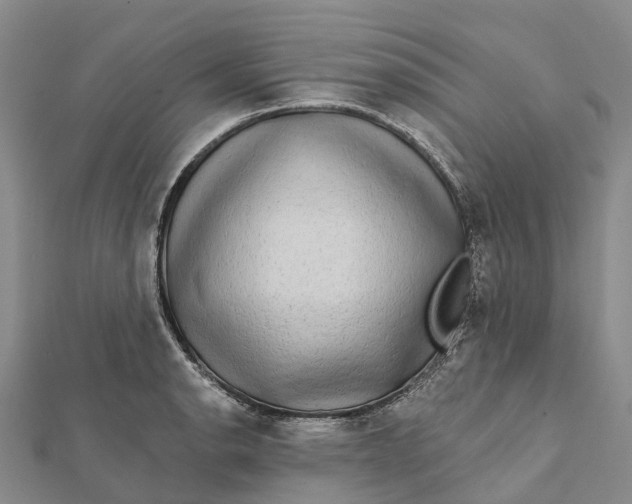 X0000112101134200908251144