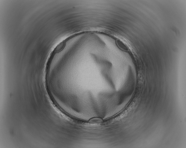 X0000112101135200908251144