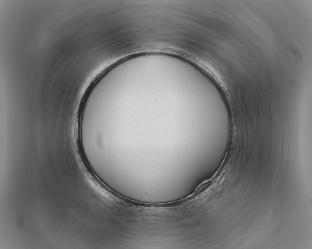 X0000112101136200908251144