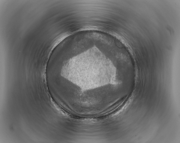 X0000112101137200908251144