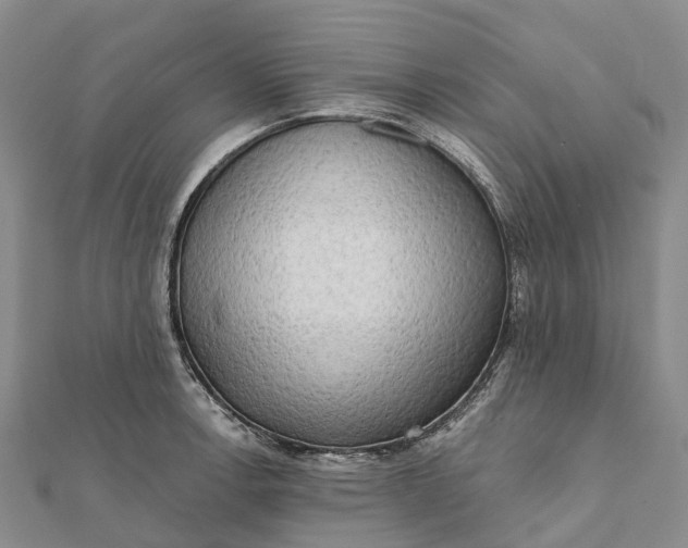 X0000112101138200908251144