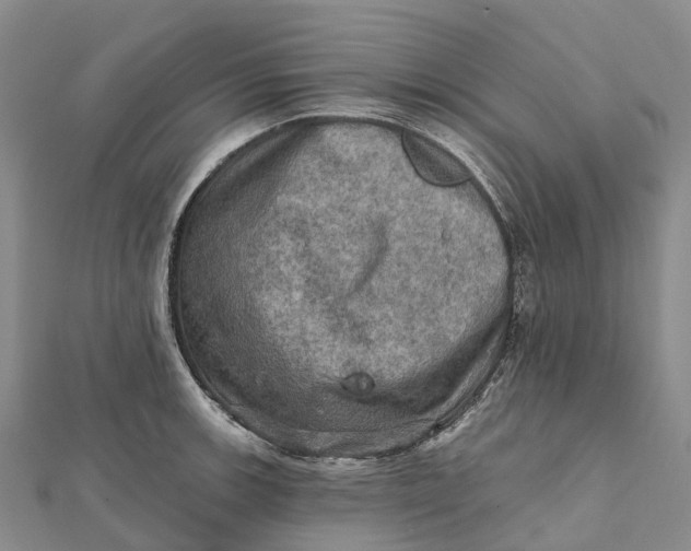 X0000112101139200908251144