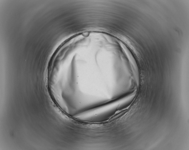 X0000112101140200908251144