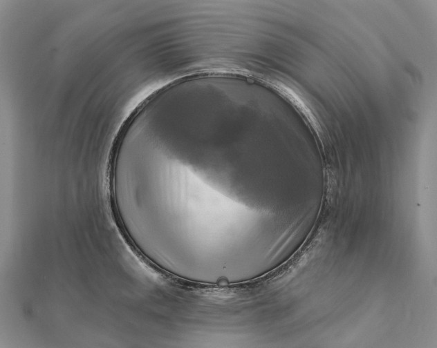 X0000112101141200908251144