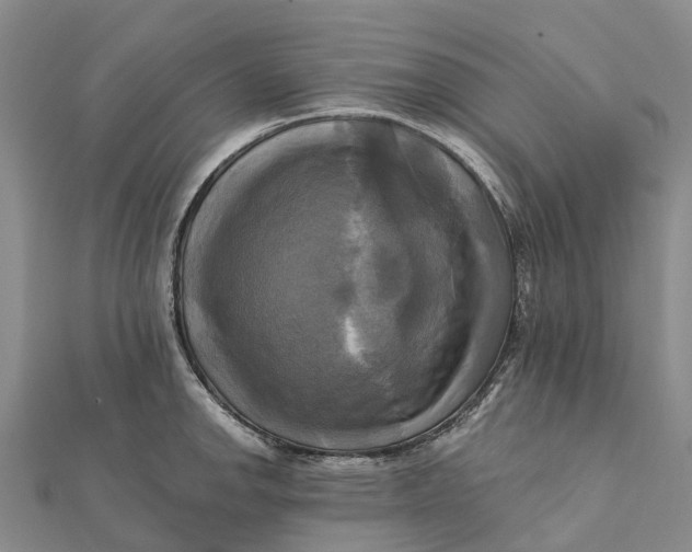 X0000112101142200908251144