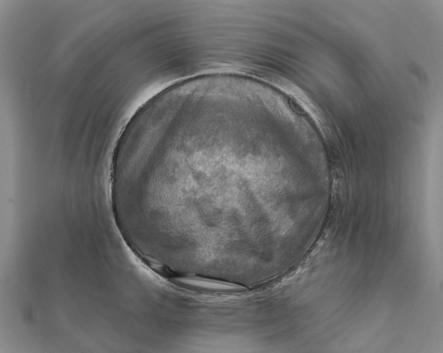 X0000112101143200908251144