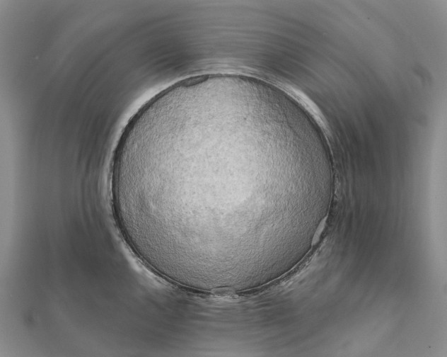 X0000112101144200908251144