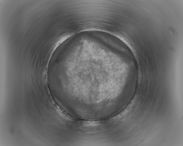 X0000112101145200908251144