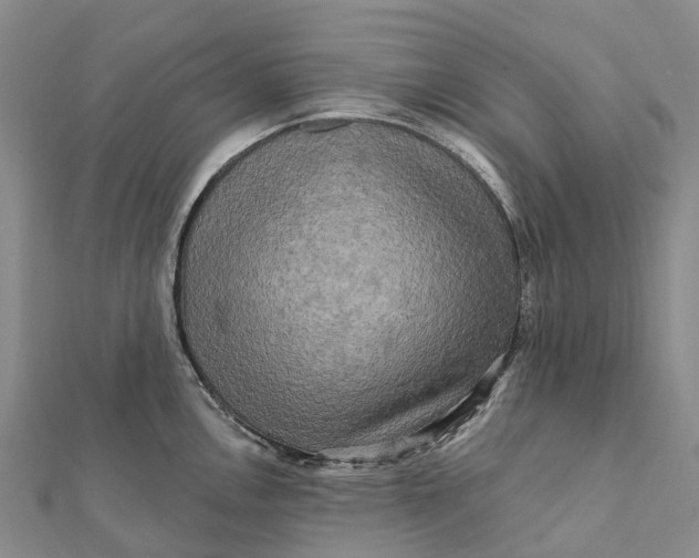 X0000112101146200908251144