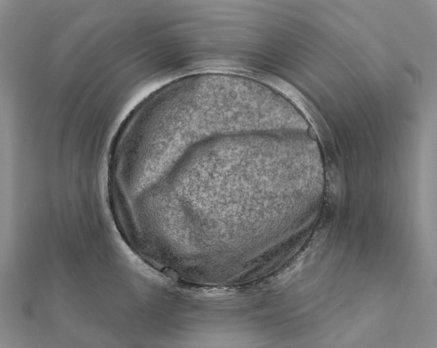 X0000112101147200908251144