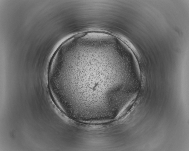 X0000112101148200908251144