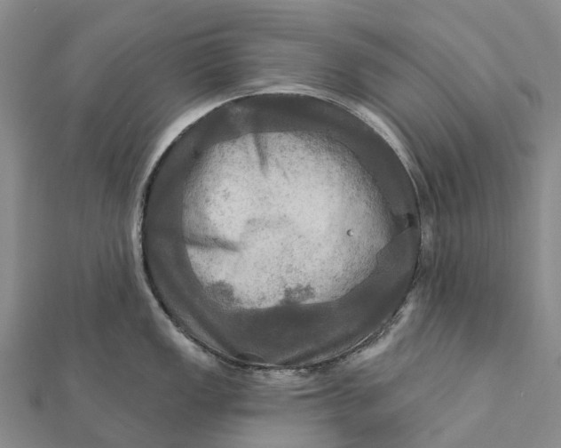 X0000112101149200908251144