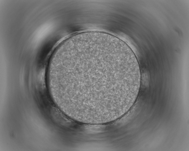 X0000112101150200908251144