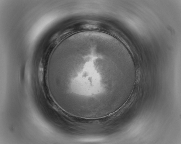 X0000112101151200908251144