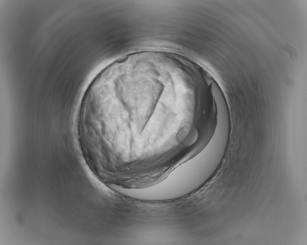 X0000112101152200908251144