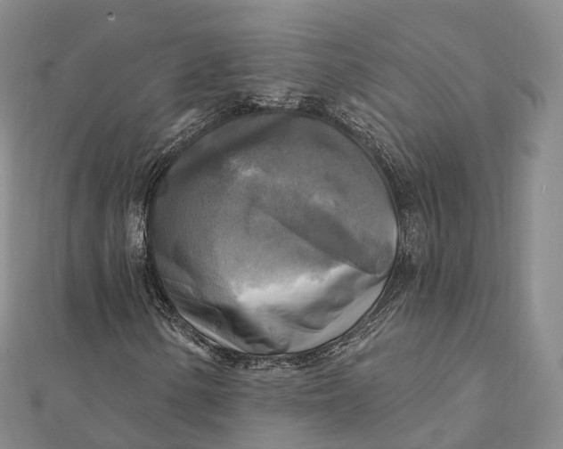 X0000112101154200908251143