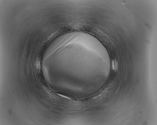 X0000112101155200908251143