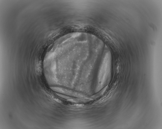 X0000112101156200908251143