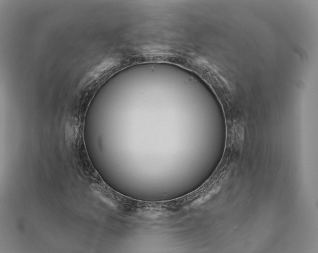 X0000112101157200908251143