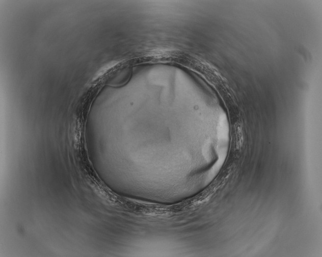 X0000112101158200908251143