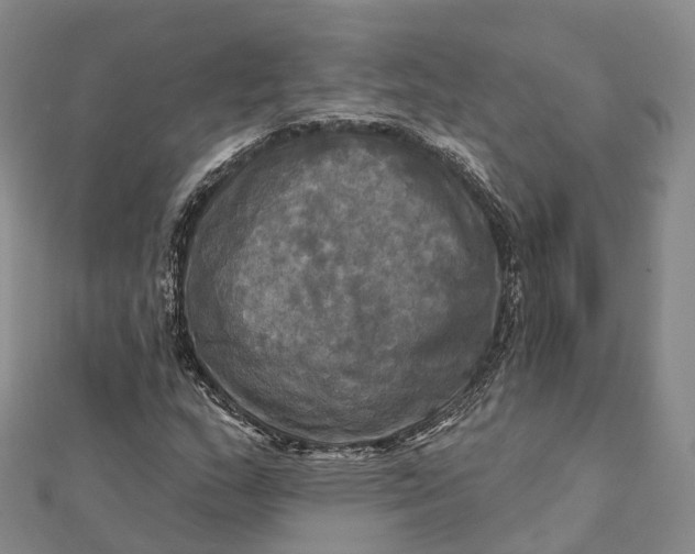 X0000112101159200908251143