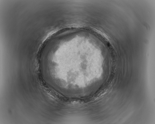 X0000112101160200908251143