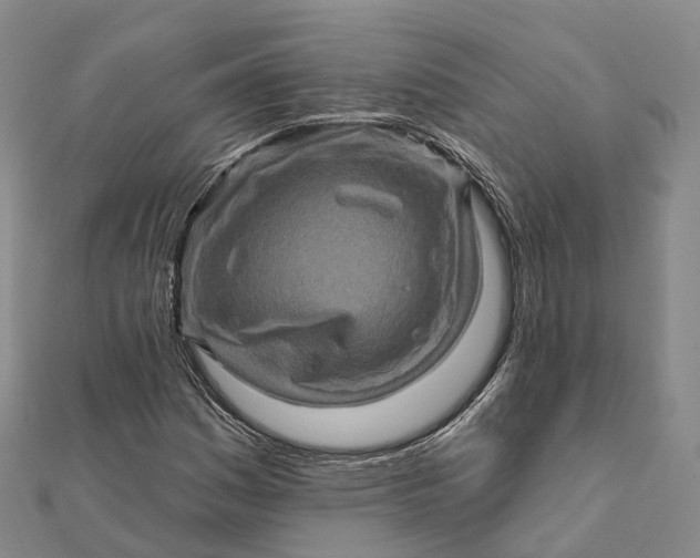 X0000112101161200908251143