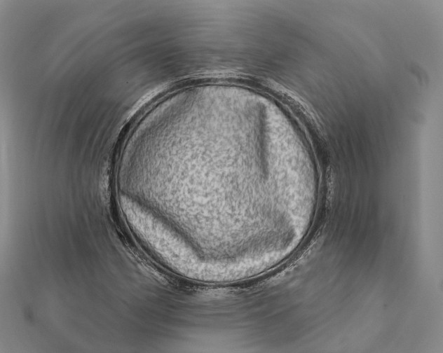 X0000112101162200908251143