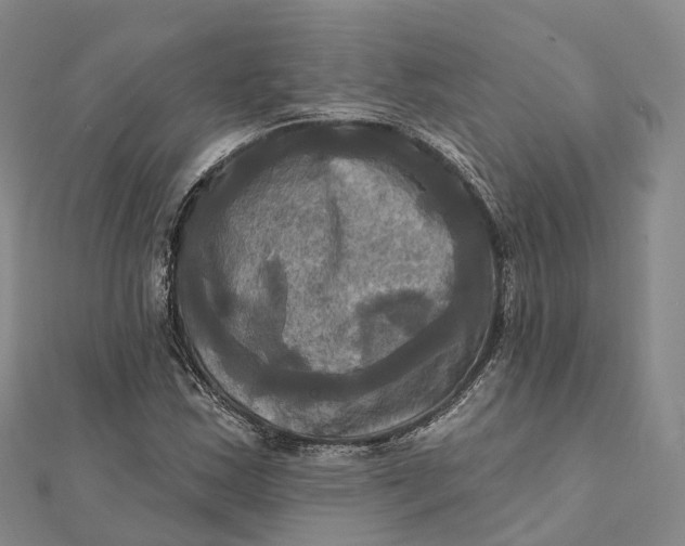 X0000112101163200908251143