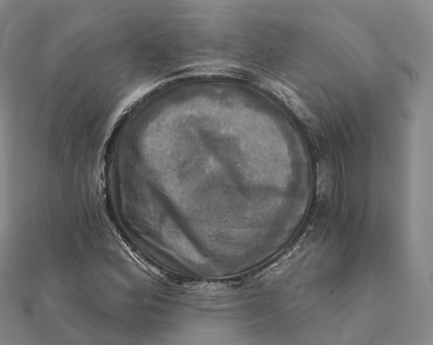 X0000112101164200908251143