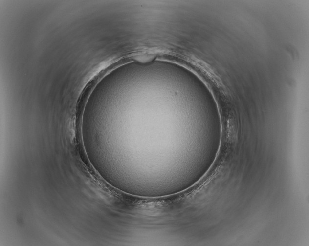 X0000112101165200908251143