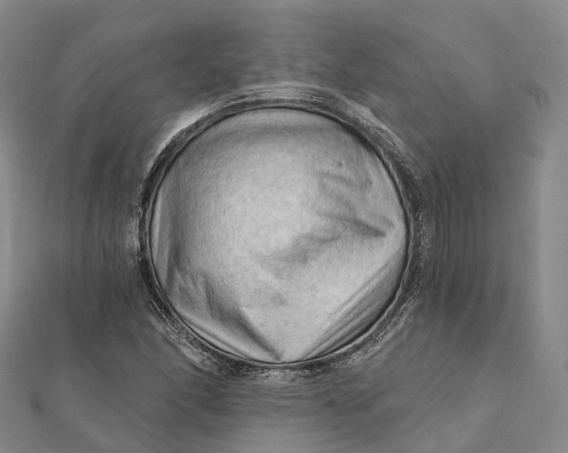 X0000112101166200908251143